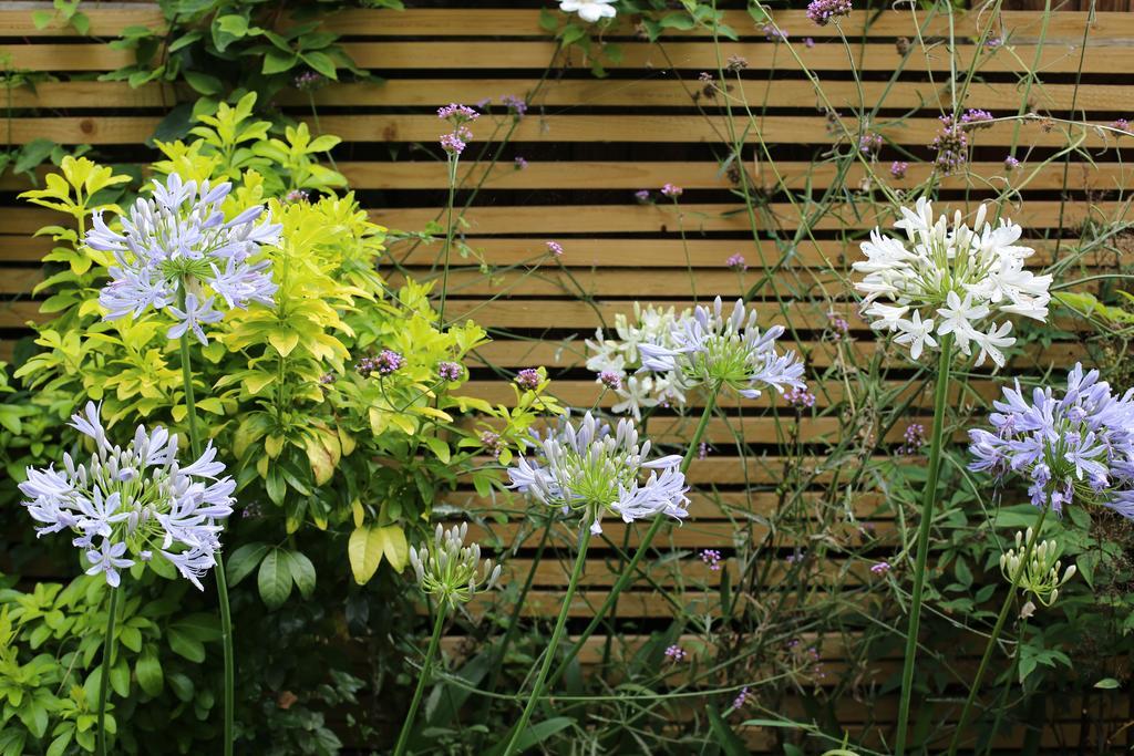 Shoreditch 1 With Garden Londres Chambre photo